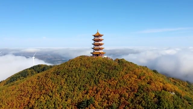 蜂蜜山秋季云海延时视频素材