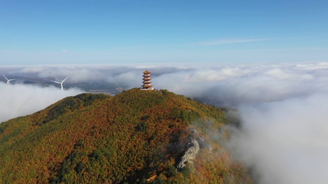 蜂蜜山秋季云海视频素材