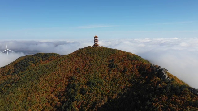 蜂蜜山秋季云海视频素材