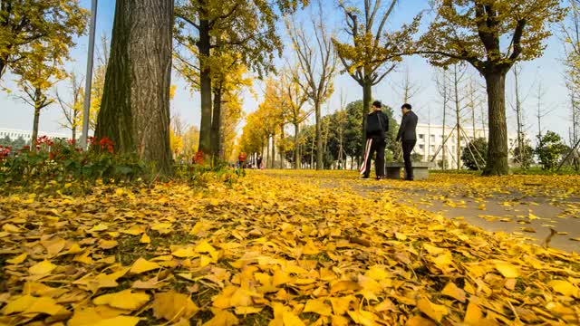 四川电子科大校园景观视频素材