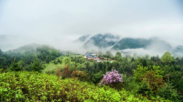 四川省磨西镇燕子沟景区风光视频素材