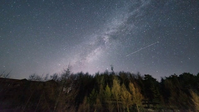 森林星空视频素材