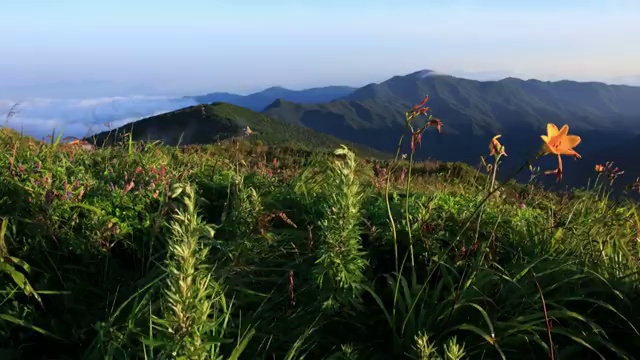 日三山(国家公园)野果丹峰的石塔视频素材