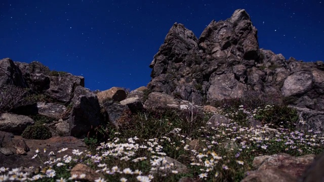 星空下吉日三山(国家公园)岩石上的野花视频素材