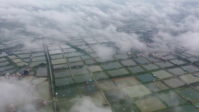 田野上的云海视频素材