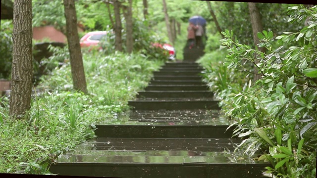 植物视频素材