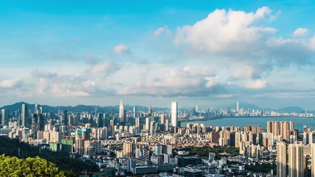 深圳南山区后海全景视频素材