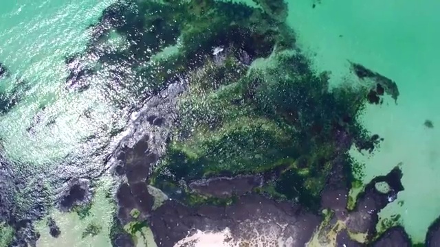 鸟瞰韩国济州岛圭陵海滩视频素材