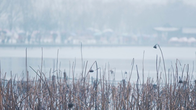 杭州雪景升格视频素材