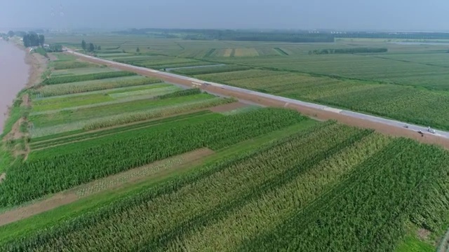 黄河边玉米田地航拍大场景视频素材