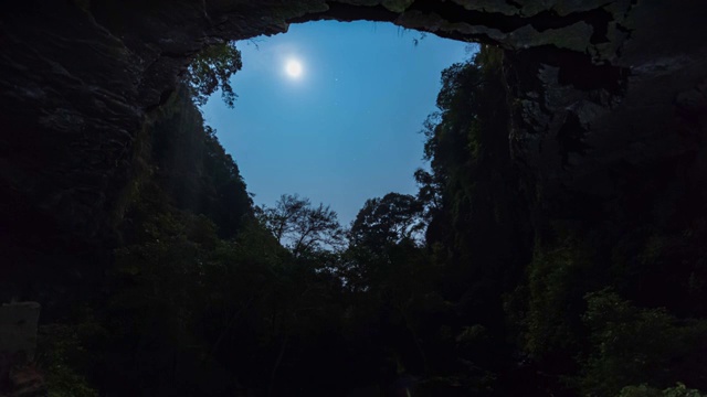 星月同辉下的森林山谷视频素材