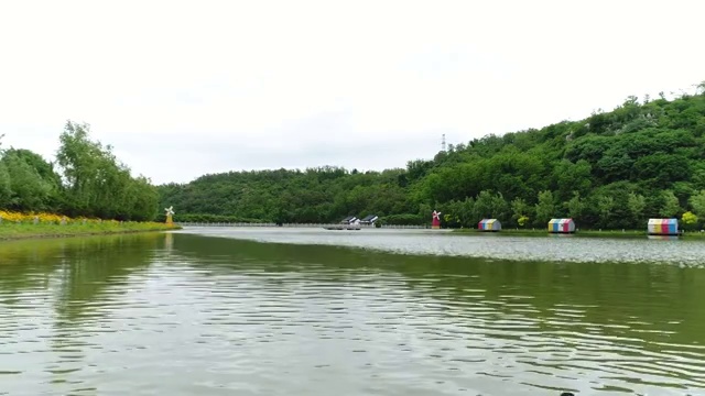 航拍湖水鸭子4K视频素材