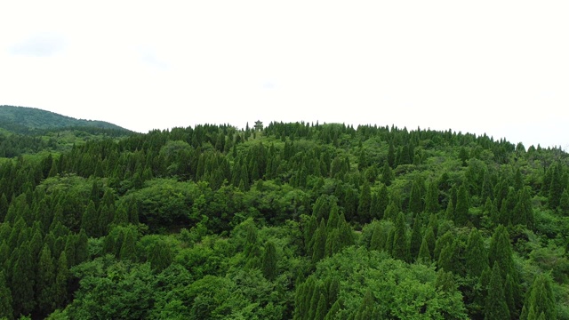 航拍森林山脉青山4K视频素材