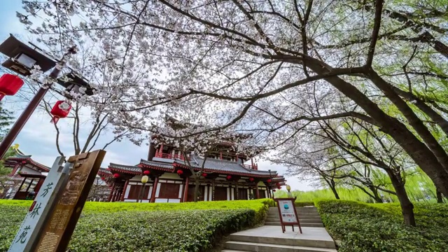 大唐芙蓉园延时风景视频素材