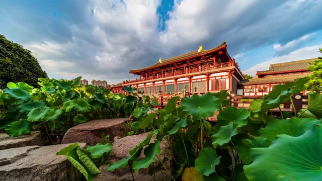 大唐芙蓉园延时风景视频下载