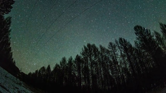 呼伦贝尔树林星空4k延时视频素材