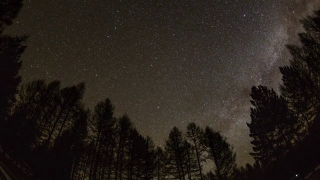 呼伦贝尔树林星空4k延时视频素材