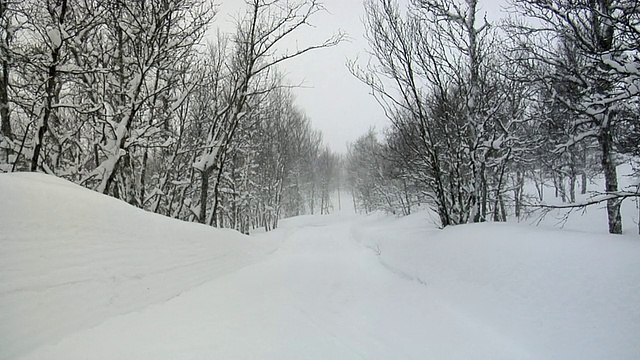 雪路视频素材