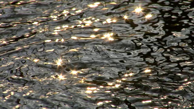 流动的水流视频素材