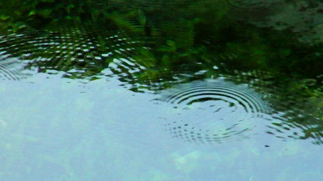 雨滴视频素材