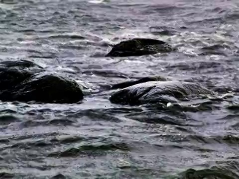 岩石和海水视频素材