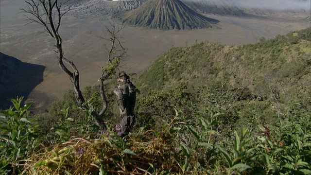 印度尼西亚爪哇萨拉提加的默拉皮火山景色视频素材