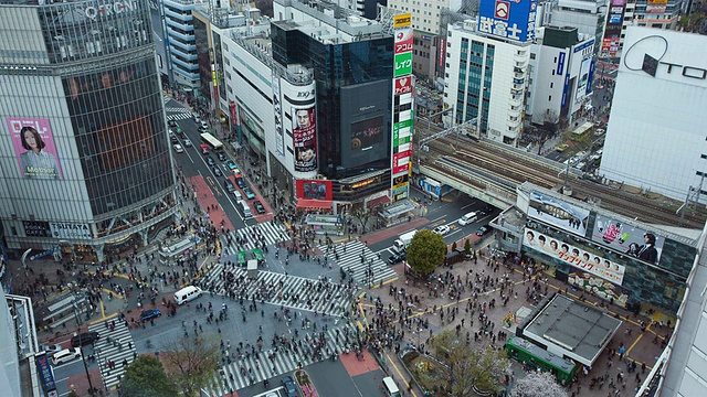 日本东京涩谷区的WS T/L八公路口视频素材