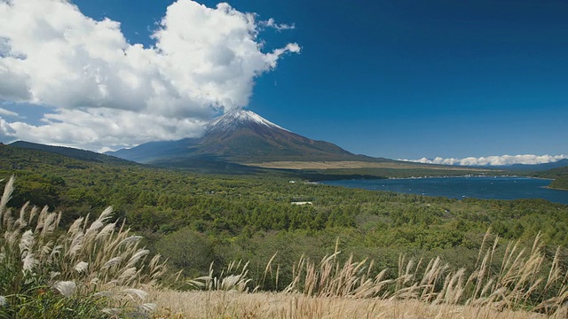 WS T/L早上从山中湖看到的富士山/山中子村，山梨县，日本视频素材