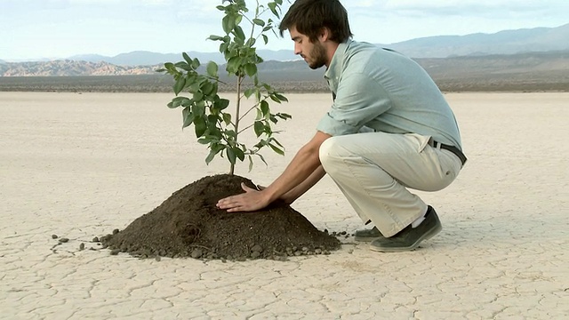 人类在沙漠景观中种植植物视频素材