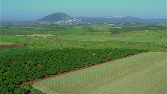 以他泊山为背景的空中果园和田野/以色列加利利视频素材