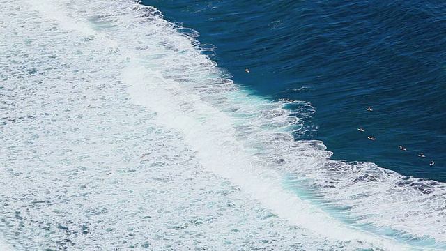 WS HA冲浪者漂浮在海浪上/ Waipio，夏威夷，美国视频素材