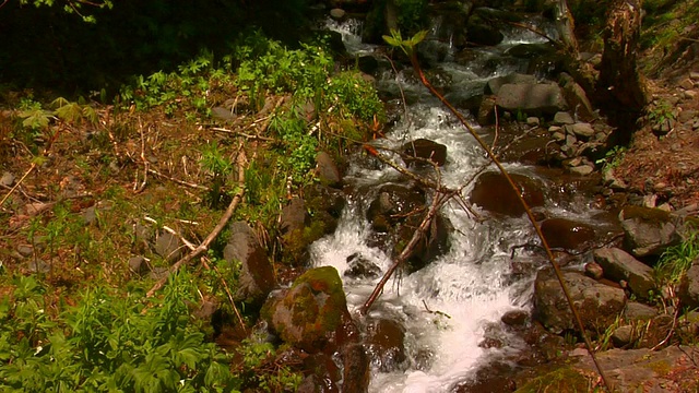 高山流水视频素材