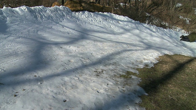 雪橇轨道- 10号视频素材