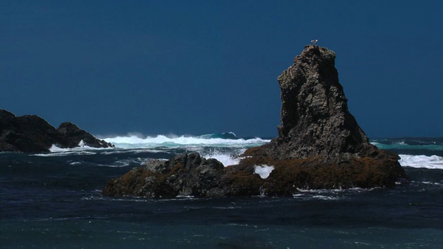 门多西诺岩石和海浪视频素材