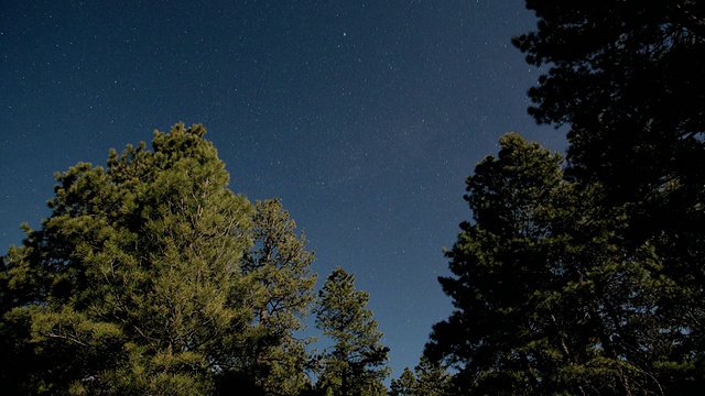 T/L WS LA星星和云在松林上空移动/ Flagstaff，亚利桑那州，美国视频素材