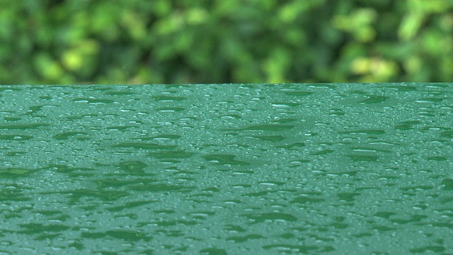 雨下的绿色背景视频素材