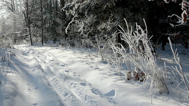 越野滑雪视频素材