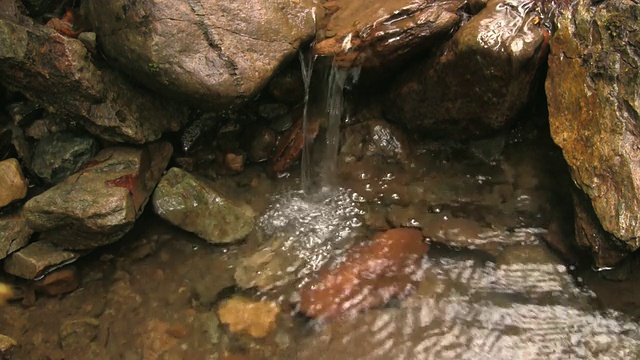 森林流视频素材