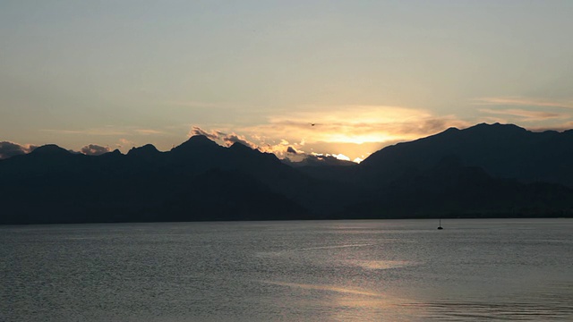 日落时海鸥在海上飞翔视频素材