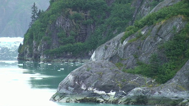 特蕾西海湾-阿拉斯加视频素材