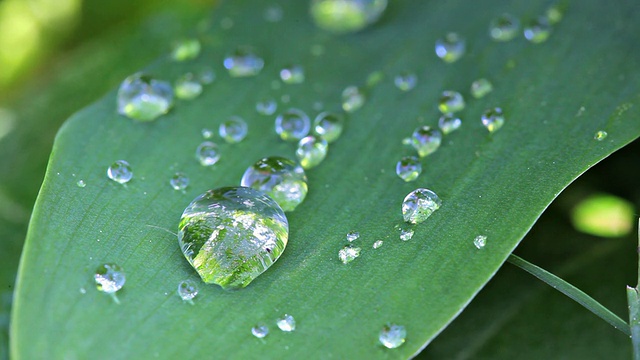 水滴视频素材