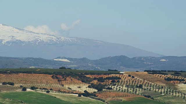 内华达山脉和最高的山峰是Mulhacen，在绿色的田野和橄榄林后面/ Alhama，安达卢西亚，马拉加，西班牙视频素材