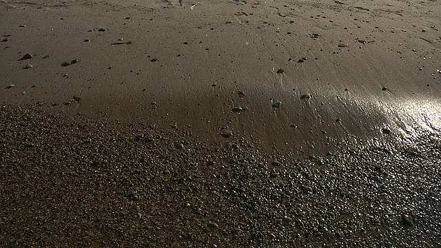 海滩海浪1080 p24视频素材