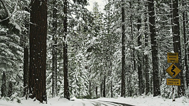 美国加州红崖附近拉森火山国家公园附近的雪覆盖森林的WS PAN路视频素材