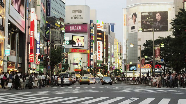 新宿街的交通和行人过街道，日本东京视频素材