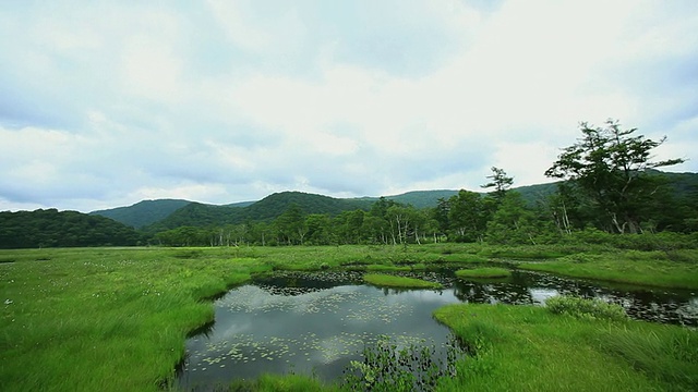 WS PAN Oze沼泽和登山客人/ Oze，群马县，日本视频素材