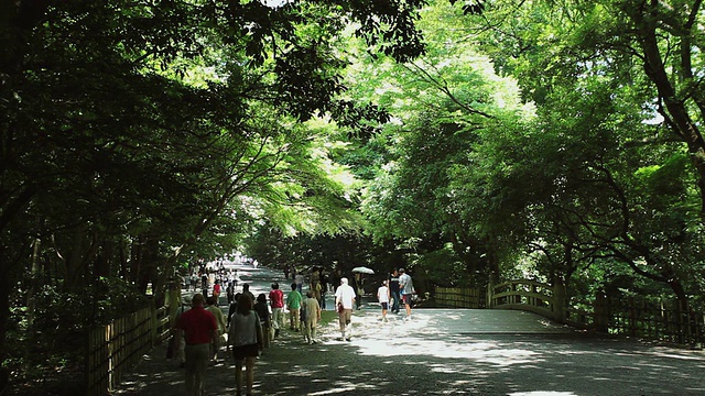 明治神社WS游客/涉谷，东京，日本视频素材