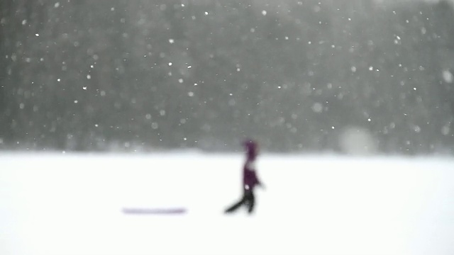 雪轮廓2视频素材