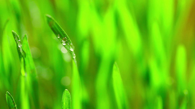 雨视频素材