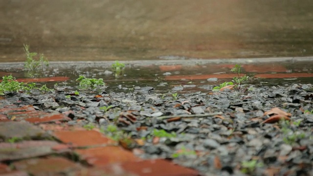 雨点在车道上视频素材